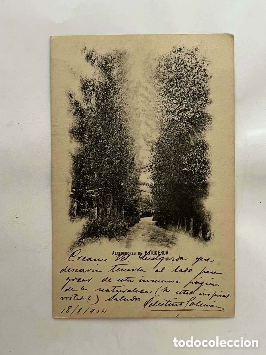 Postales: GERONA. Alrededores de Puigcerda. Reverso sin dividir. Circulada (a.1904)
