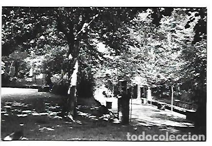 Postales: FUENTE DE LA MOXINA.- OLOT