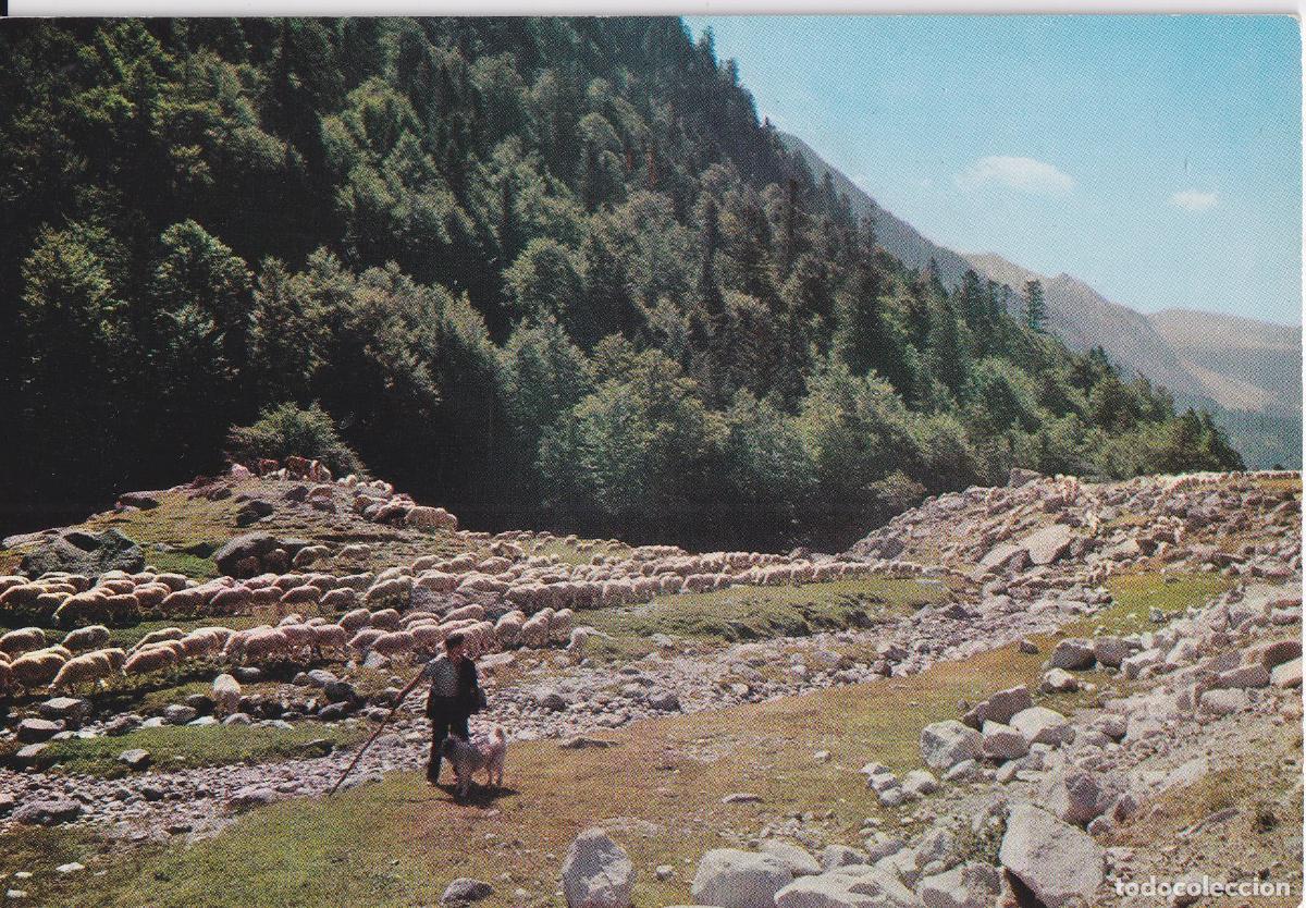 Postales: PIRINEOS CENTRALES, REBA&Ntilde;O EN EL VALLE - FOT.A CAMPA&Ntilde;A 1465 - S/C