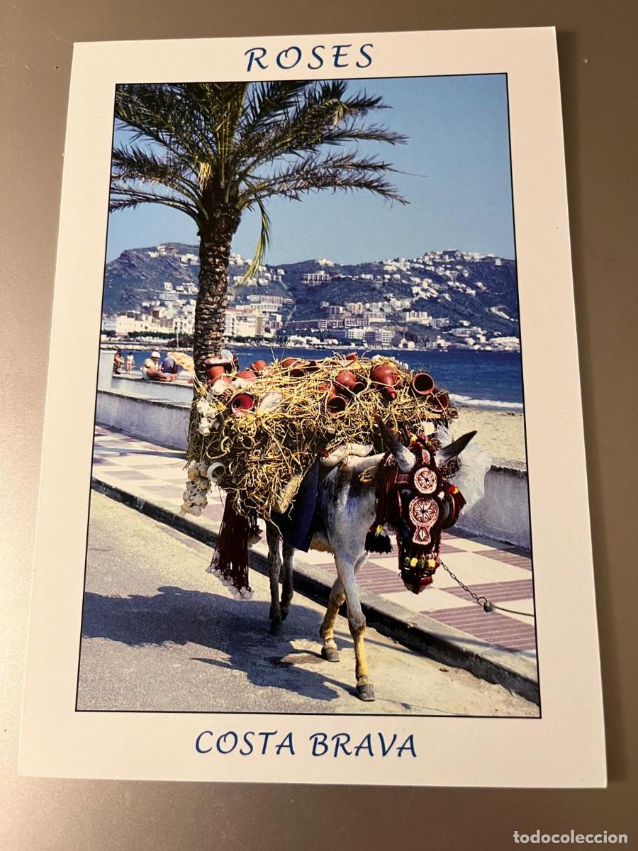 Postales: postal Roses Girona burro sin circular