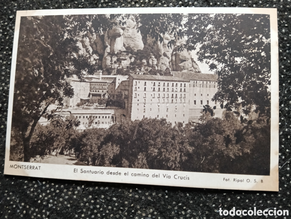 Postales: Montserrat. El Santuari des del Cami del Via Crucis. Foto Ripol