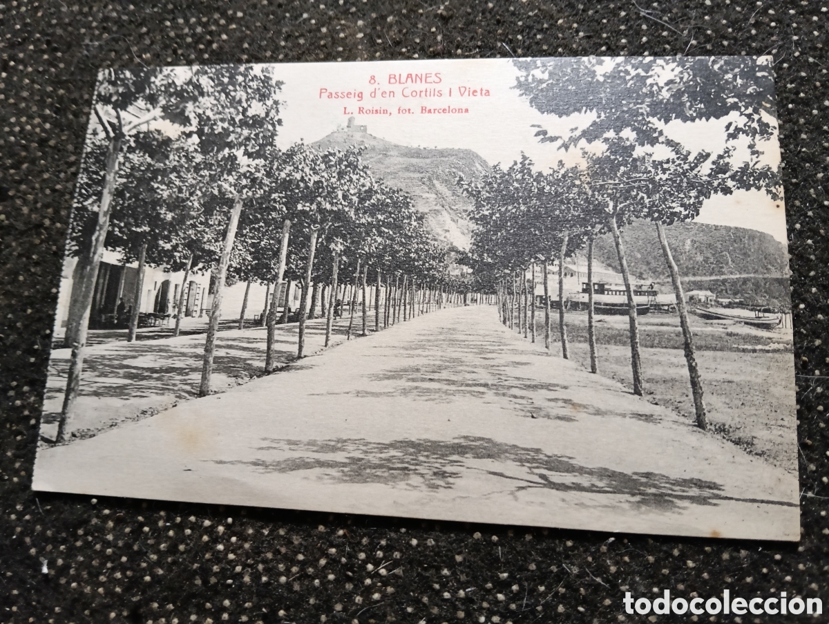 Postales: Blanes Costa Brava Paseo d'en Cortils i Vieta, Roissin n&deg; 8