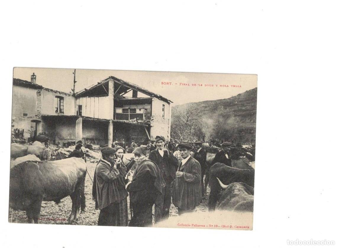 Postales: SORT. FIRAL DELS BOUS Y MOLA VELLA. COL. PALLARESA