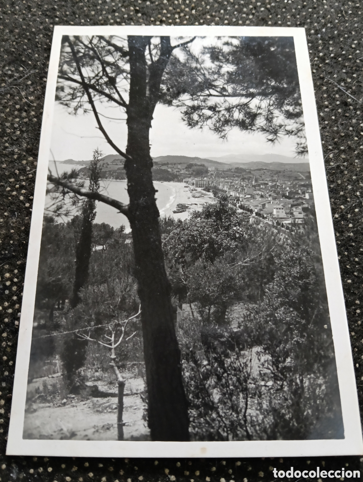 Postales: Gerona, costa brava Lloret de Mar, la villa desde levante