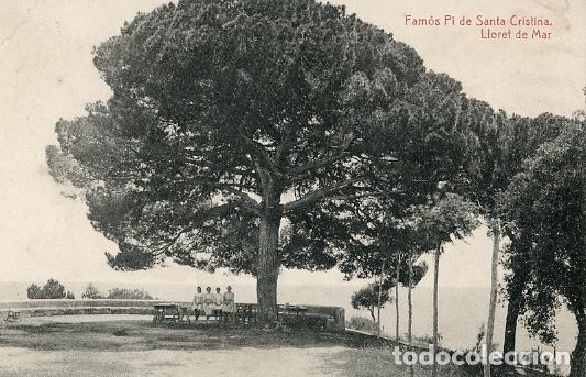 Postales: Fam&oacute;s Pi de Santa Cristina Lloret de Mar