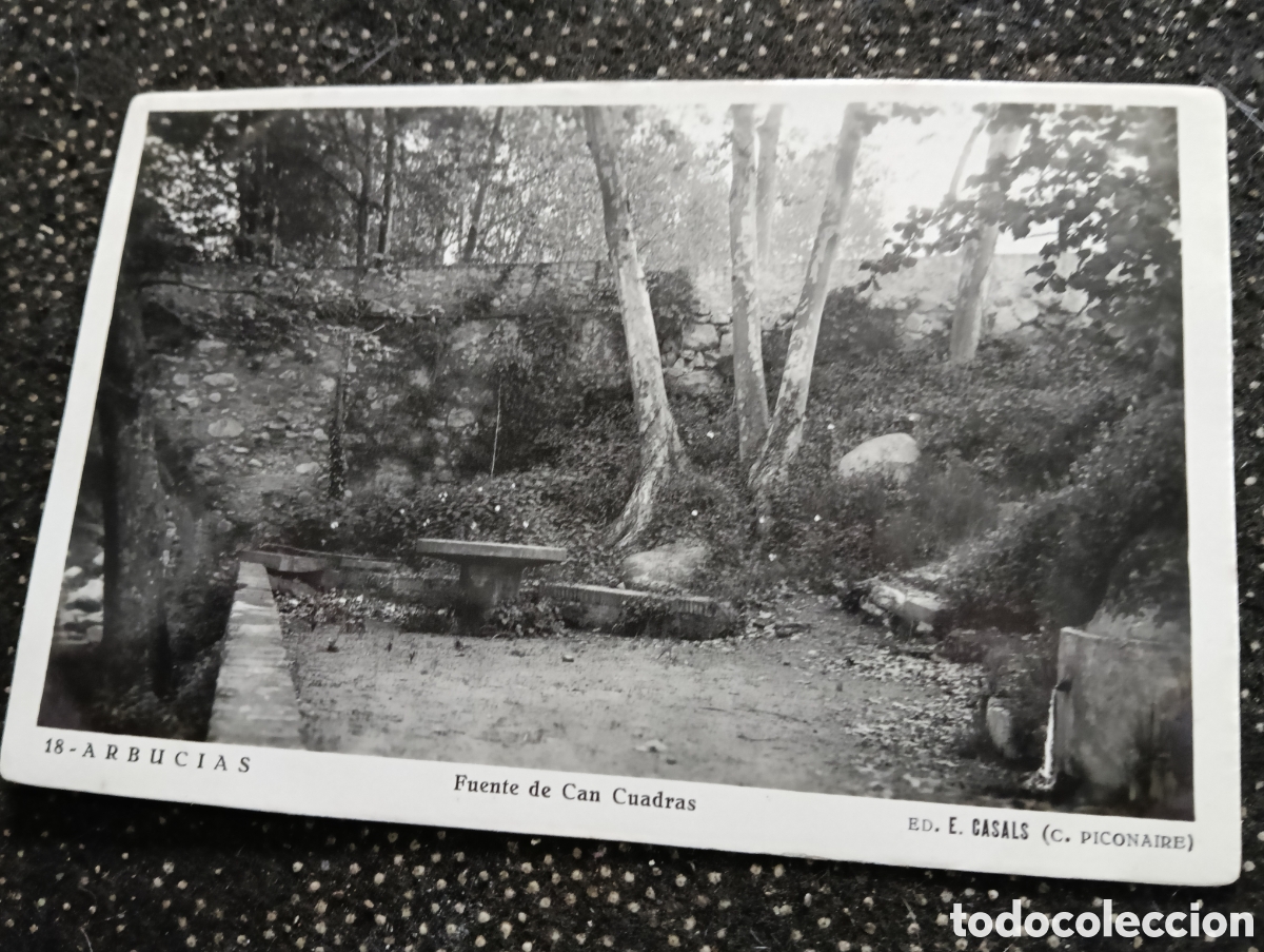 Postales: Gerona, Arbusias, fuente de Can Cuadras.