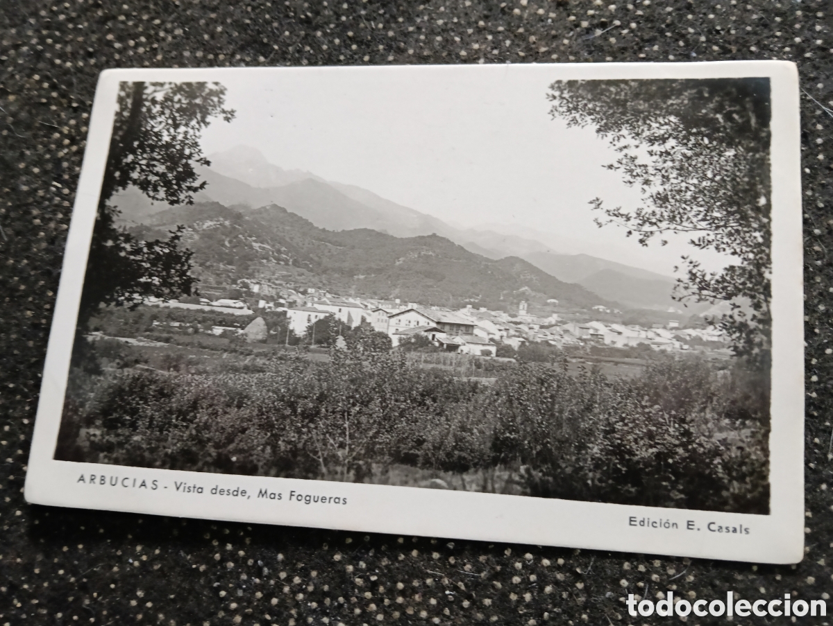 Postales: Arbusias Gerona Vista desde el M&aacute;s de Fagueras