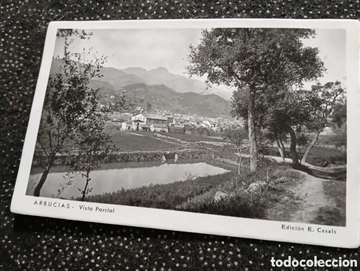 Postales: Arbusias Gerona Vista parcial