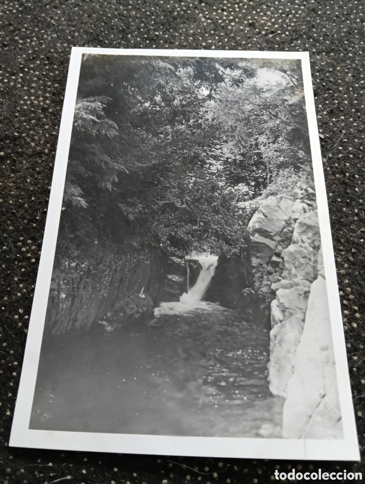 Postales: La Selva Arbusias Gerona paisaje del Gorc Nou