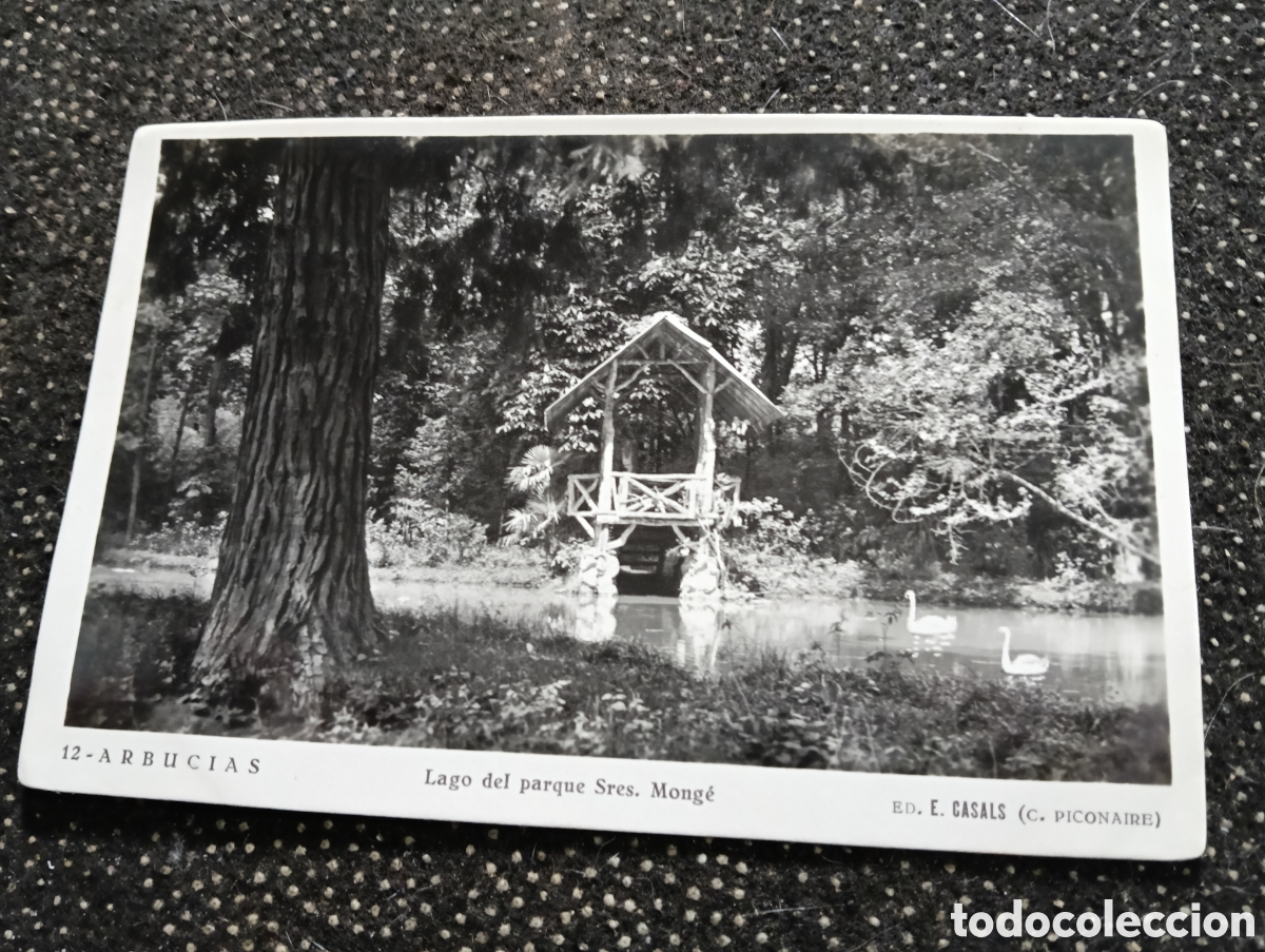 Postales: La Selva Arbusias Gerona, lago del parque de los Se&ntilde;ores Mong&eacute;
