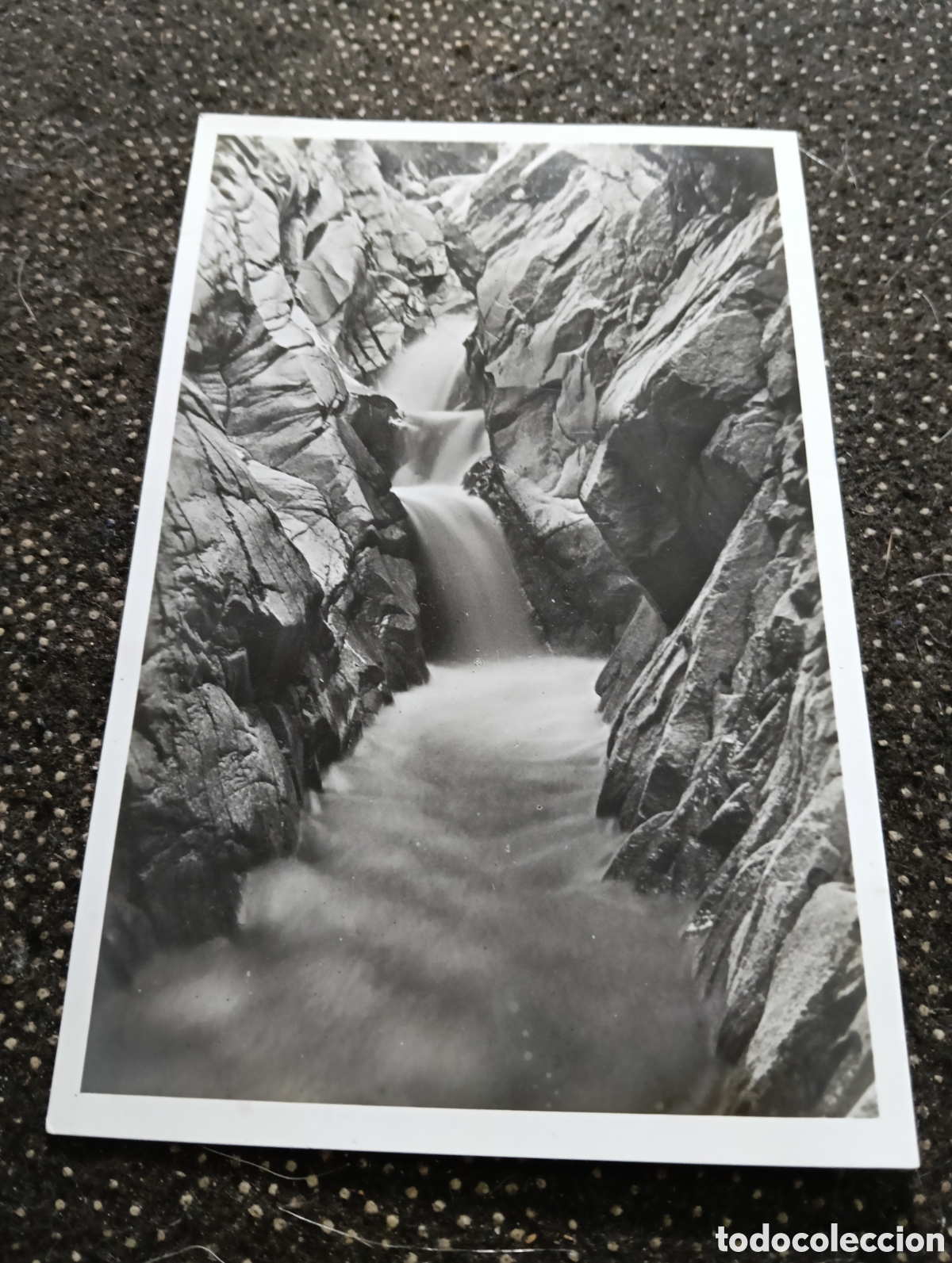 Postales: La Selva Arbusias Gerona Rio, Salto de La dona d'aigua