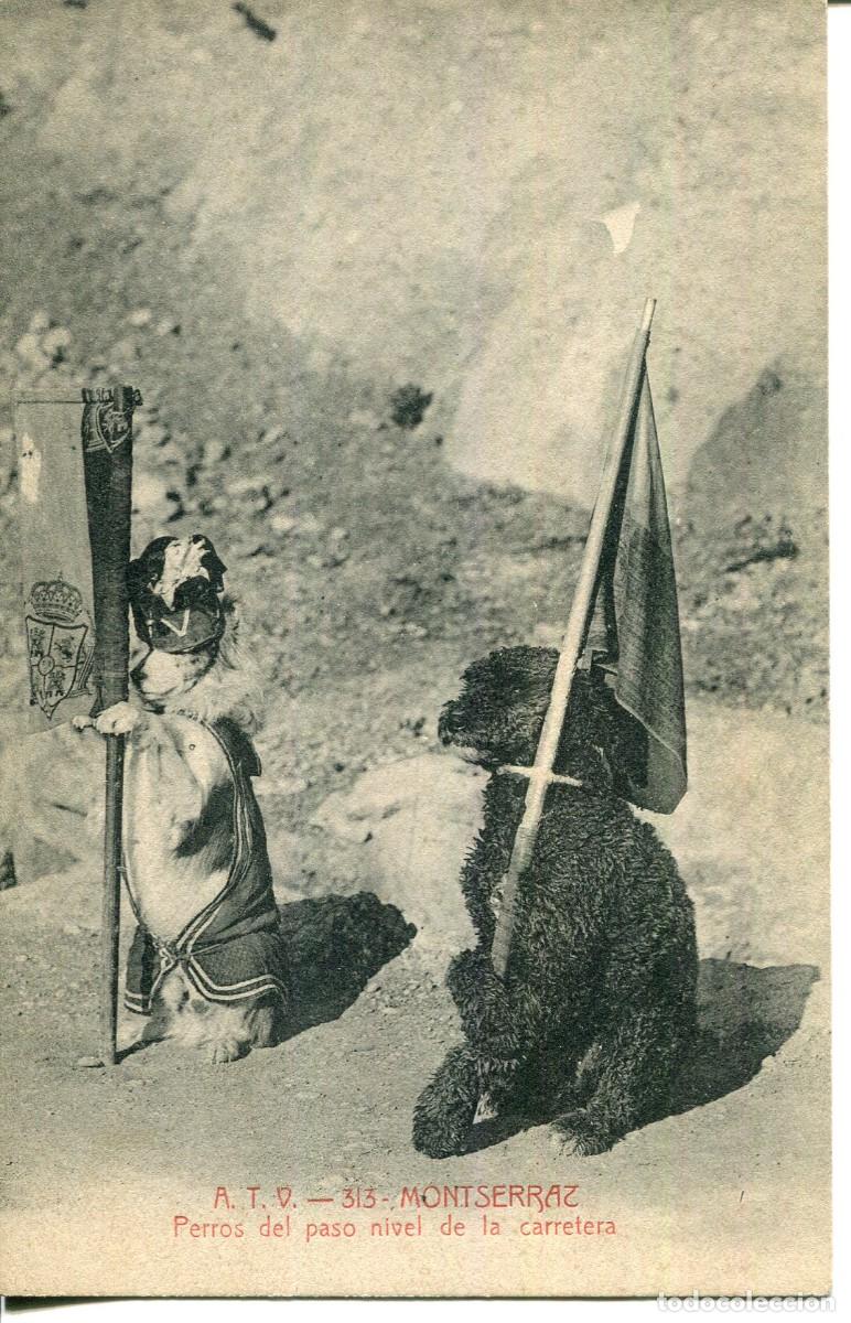 Postales: MONTSERRAT-PERROS DEL PASO A NIVEL DE LA CARRETERA-ATV-313