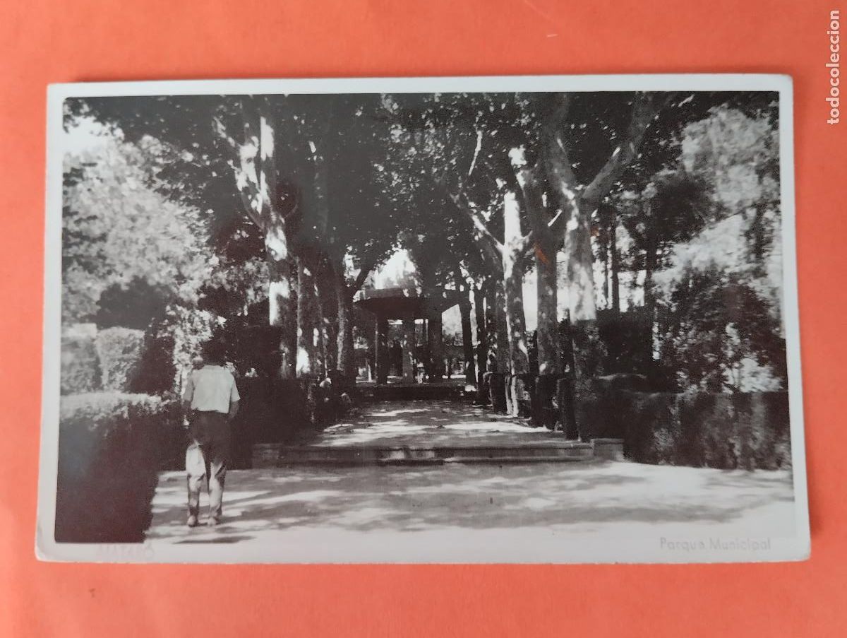 Postales: POSTAL FOTOGRAFICA. MATAR&Oacute;, FOTO MASACH. PARQUE MUNICIPAL.