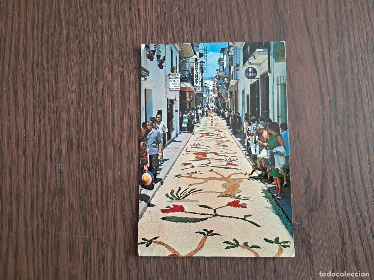 Postales: postal de Espa&ntilde;a, alfombra de flores, Sitges n&ordm; 558, a&ntilde;o 1966.
