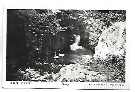 Postales: PAISAJE.- ARBUCIAS / GIRONA