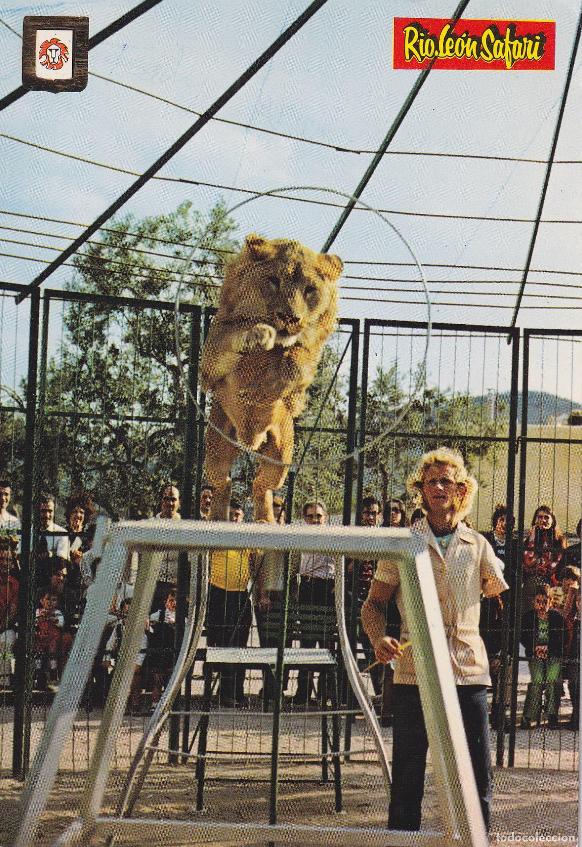 Postales: ALBI&Ntilde;ANA (TARRAGONA) RIO LE&Oacute;N SAFARI PARK, DOMA DE LEONES SALVAJES - S/C