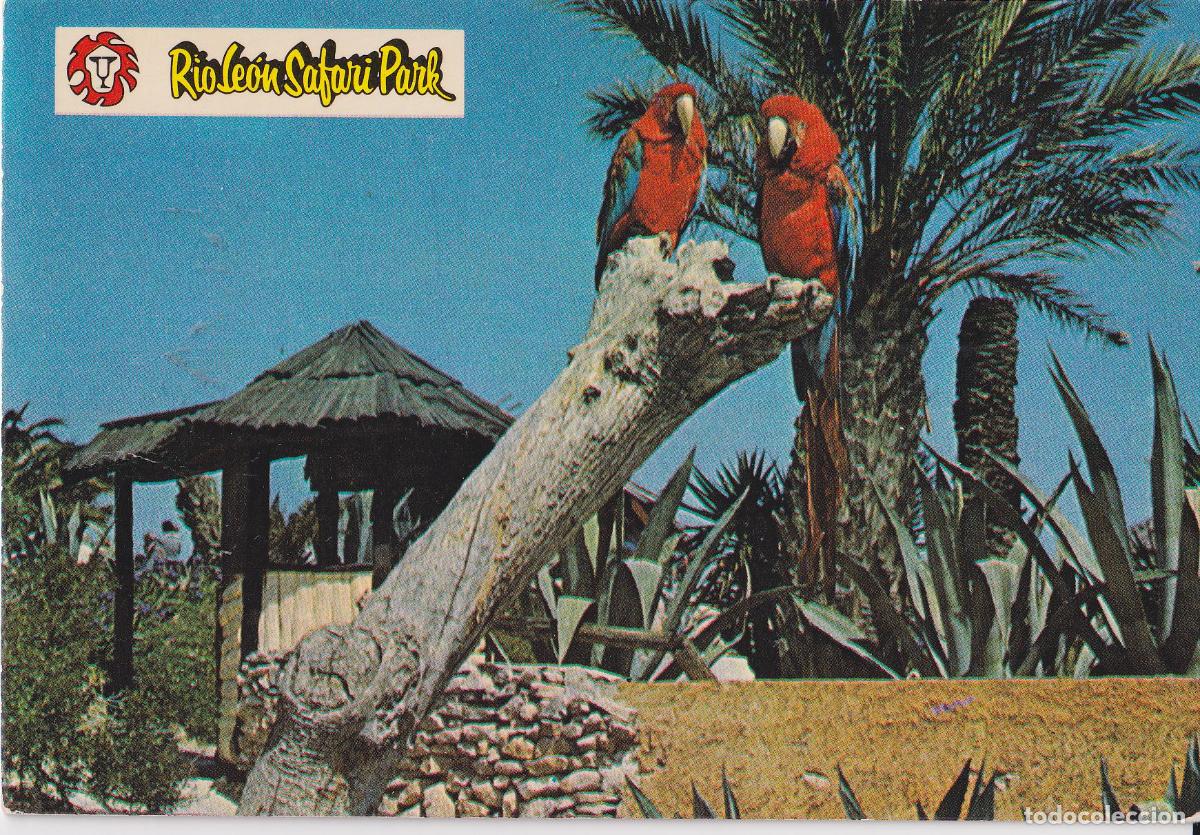 Postales: ALBI&Ntilde;ANA (TARRAGONA) RIO LE&Oacute;N SAFARI PARK - S/C