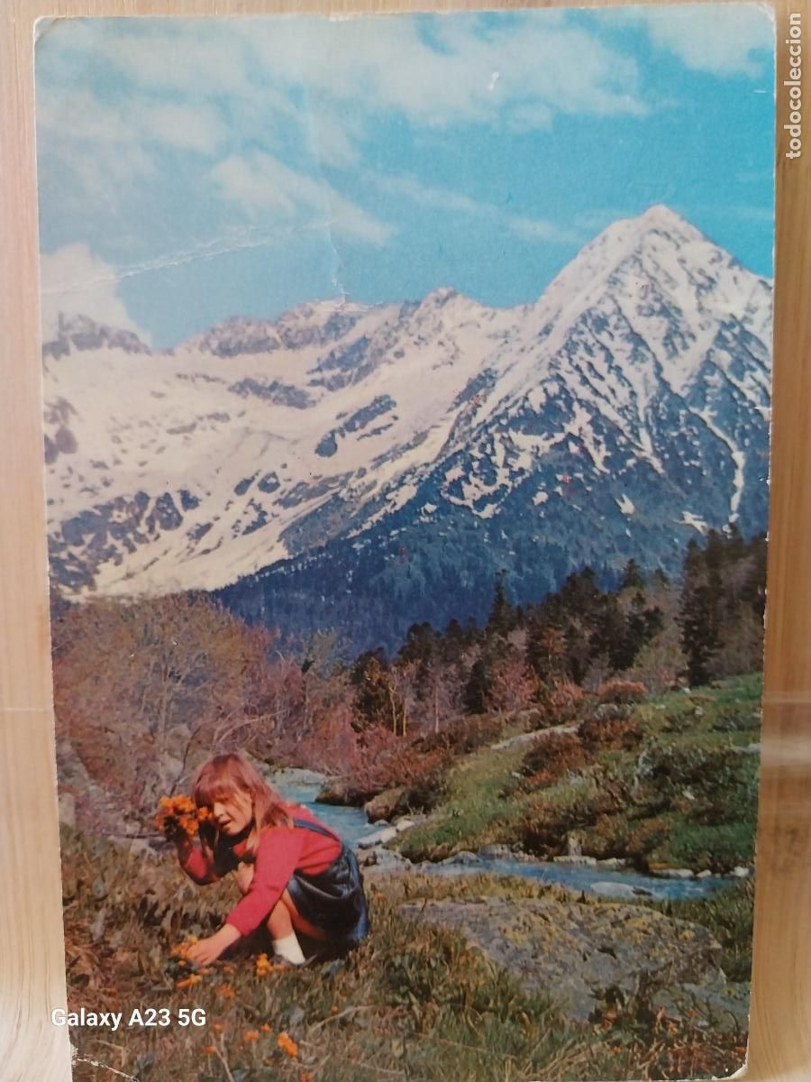 Postales: VALLE DE MULLERES TUC COMTESA VITALLER ED COLONIA MONT SANT A&Ntilde;O 1963 NI&Ntilde;A FLORES MONTA&Ntilde;ISMO