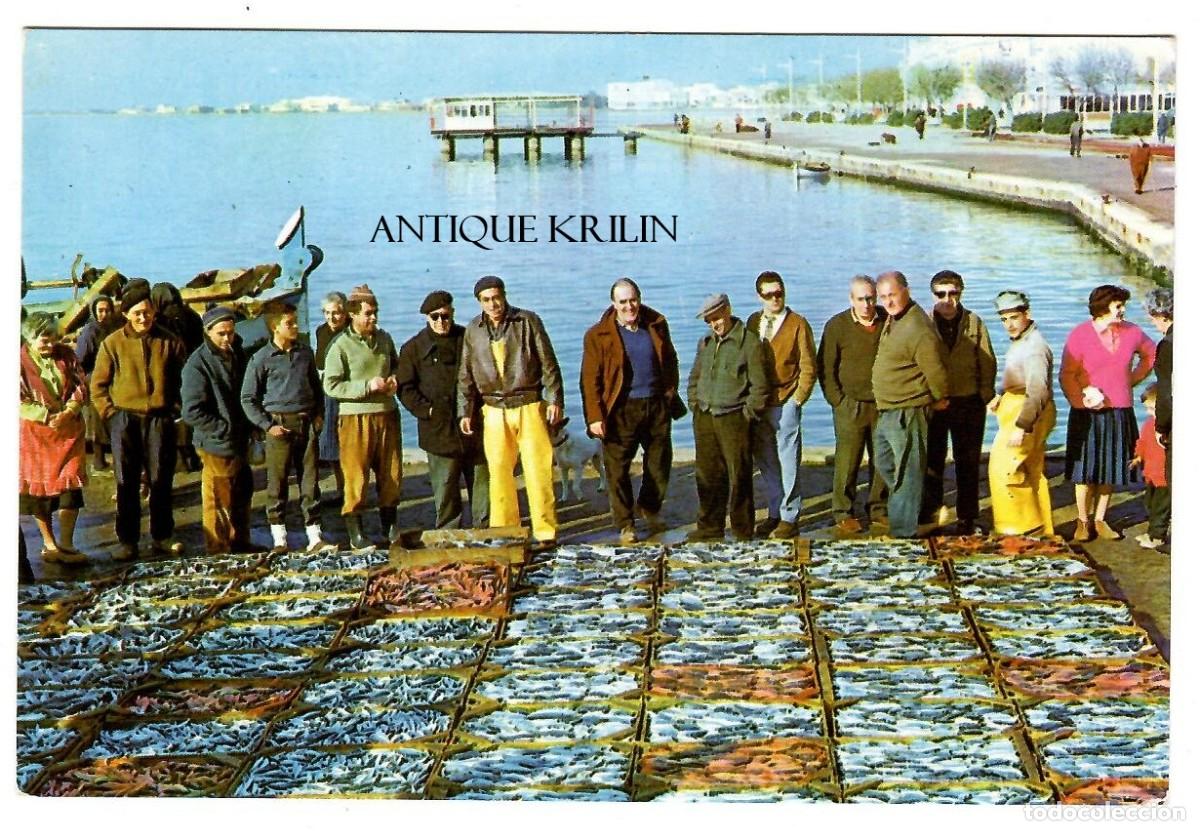 Postales: SERIE CATALU&Ntilde;A TIPICA N&ordm; 660 PREPARANDO SUBASTA DE PESCADO / FOTO UBACH PUIG / SIN FRANQUEAR