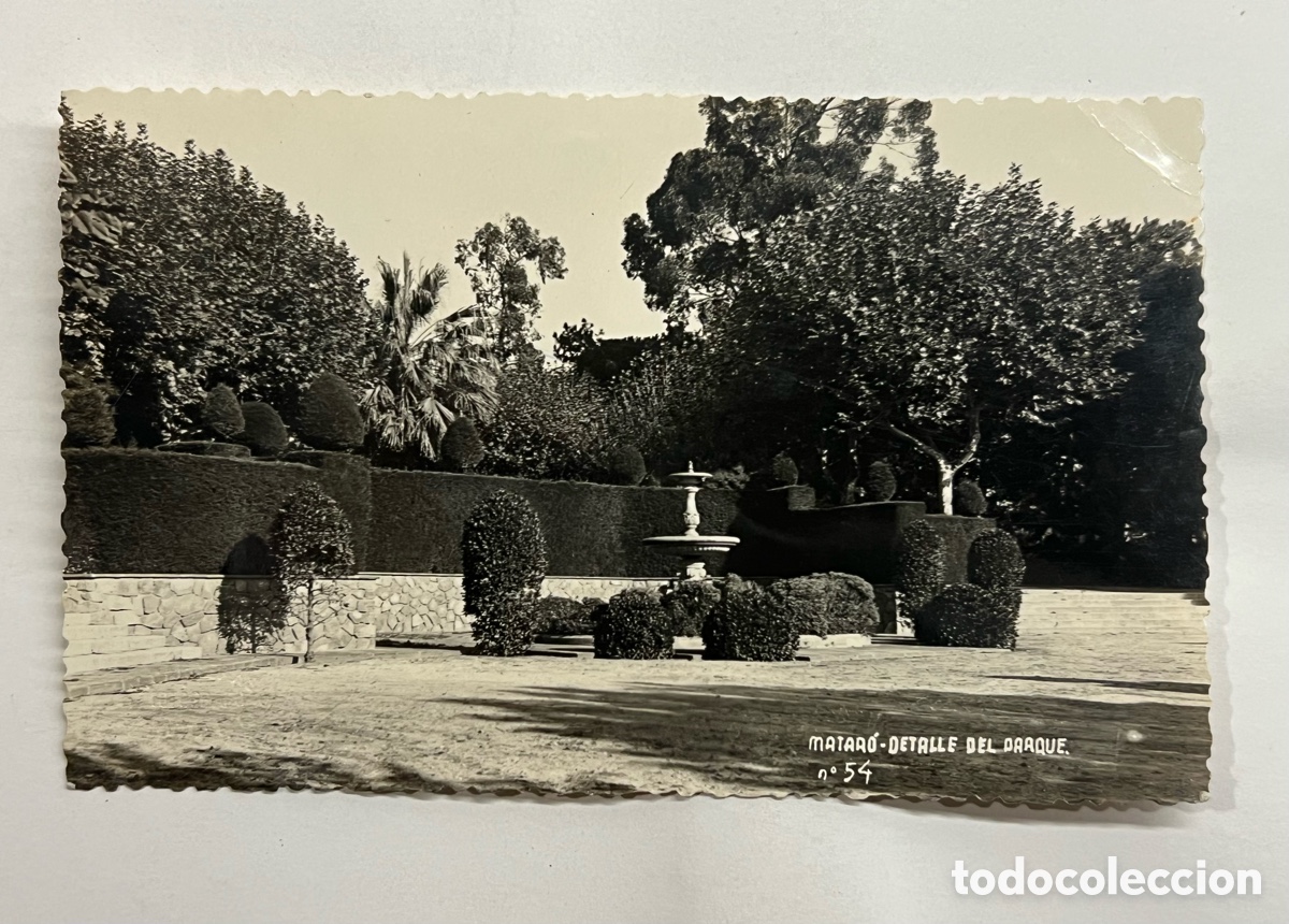 Postales: MATAR&Oacute; (Barcelona) Postal fotogr&aacute;fica No.45, Detalle del Parque.. sin datos editor (h.1950?)