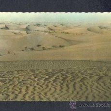 Postales: POSTAL DEL SAHARA: HORIZONTE INFINITO DE DUNAS EN EL DESIERTO (FOTO DE PORRAS NUM.36)