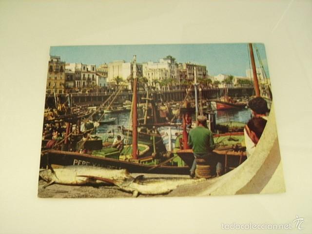 Postales: CEUTA  --  UN ASPECTO MUELLE PESCADRES - Foto 1