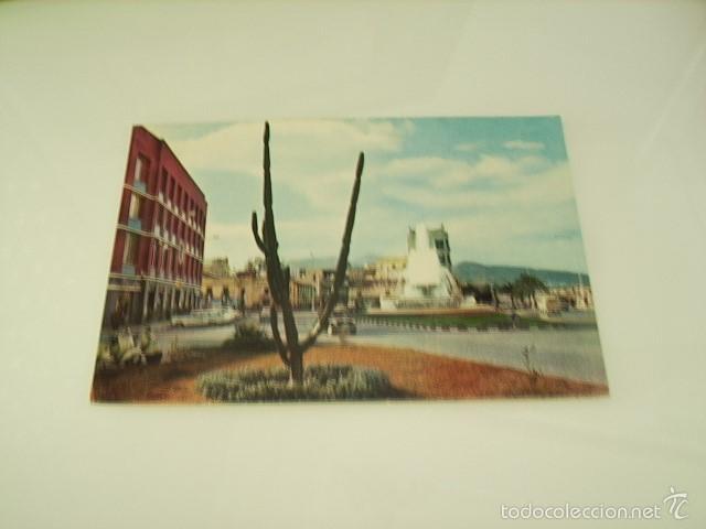 Postales: CEUTA  --  CACTUS EN LA PLAZA GENERAL GALERA - Foto 1