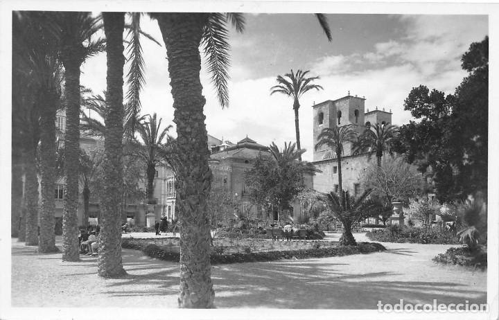 Postales: ALICANTE.- PASEO DE RAMIRO - Foto 1