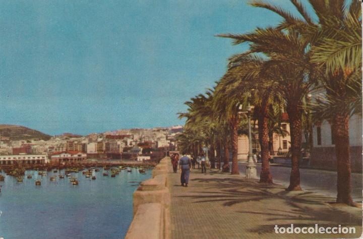 Postales: (2) CEUTA. PASEO DE LA MARINA ... SIN CIRCULAR - Foto 1