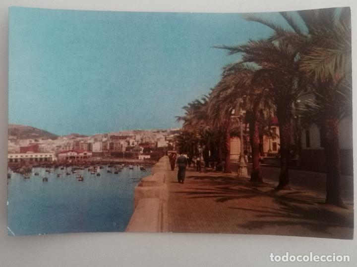 Postales: POSTAL CEUTA, PASEO DE LA MARINA - Foto 1