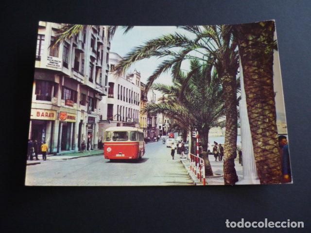 Postales: CEUTA PASEO DE LAS PALMERAS - Foto 1