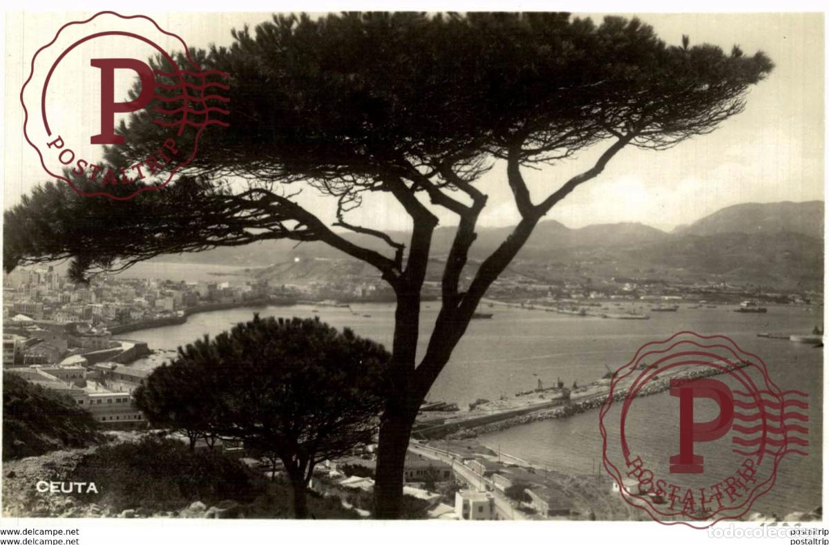 Postales: RPPC FOTOPOSTAL CEUTA - Foto 1
