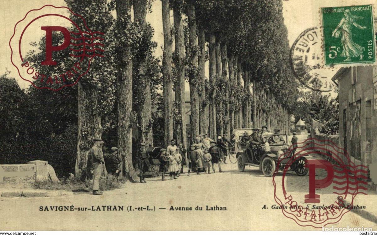 Cartes Postales: SAVIGNE SUR LATHAN - Avenue du lathan