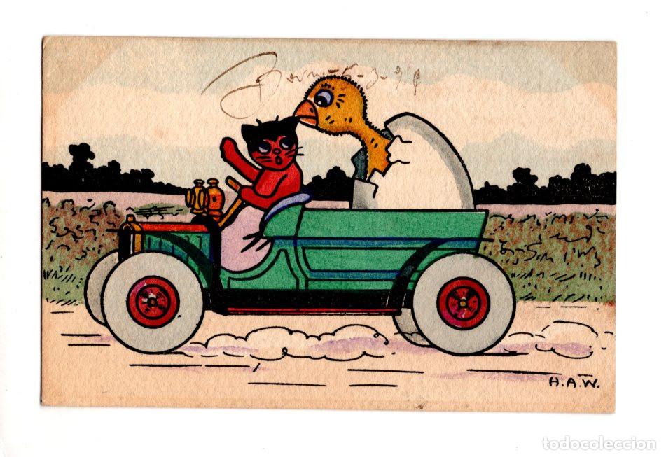 Postales: POSTAL C&Oacute;MICA GATO NEGRO Y A UN POLLITO SALIENDO DE UN HUEVO VIAJANDO JUNTOS EN UN COCHE VERDE.