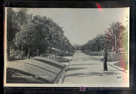 Postales: MADRID. SALON DEL PRADO. - Foto 1