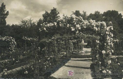 Postales: MADRID . PARQUE DEL RETIRO . LA ROSALEDA P28 - Foto 1