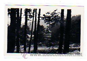 Postkarten: Provincia de Madrid. Guadarrama. Loty. n&ordm; 663 . Fuenfria, Chalet de Pe&ntilde;alara.