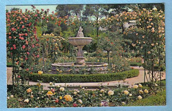 Postales: MADRID. ROSALEDA DEL PARQUE DEL RETIRO. EDICIONES BERGAS - Foto 1