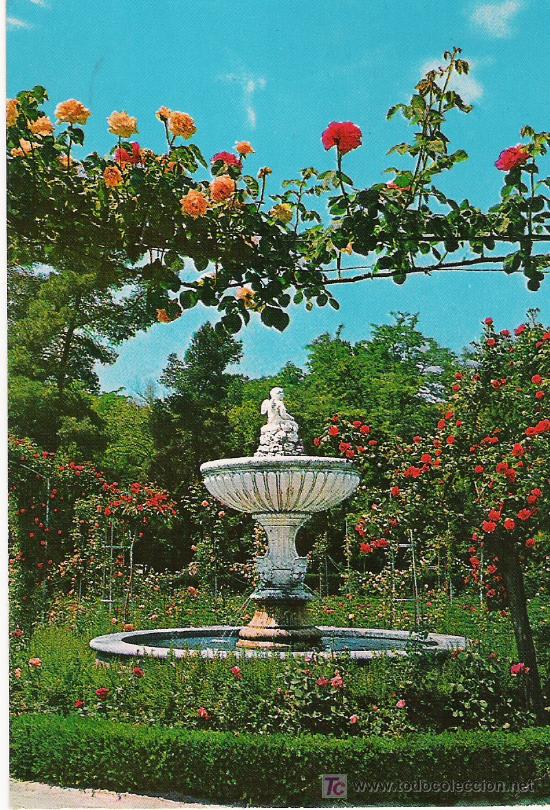 Postales: LA ROSALEDA - Foto 1