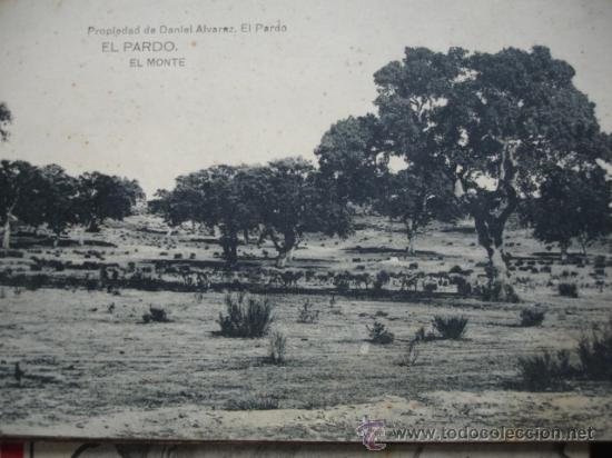 Postales: MADRID,EL PARDO,EL MONTE,DANIEL ALVAREZ,S/C - Foto 1