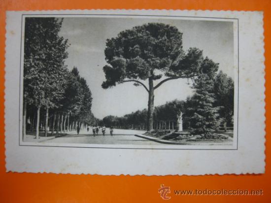 Postales: MADRID - REF.: S-376 - Foto 1