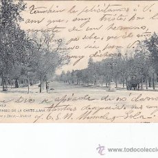 Postales: PASEO DE LA CASTELLANA EN 1903: POSTAL DE HAUSER Y MENET CIRCULADA MADRID INTERIOR.