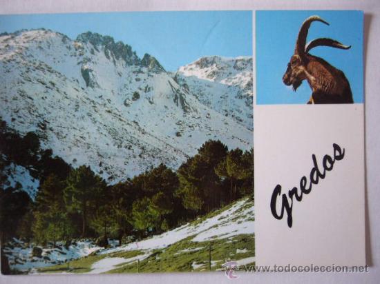 Postales: SIERRA DE GREDOS. N&ordm; 244. STUDIO. ESCRITA