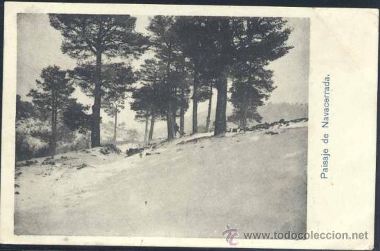 Postales: PAISAJE DE NAVACERRADA (MADRID) - Foto 1