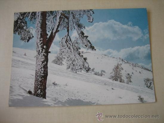 Postkarten: 8.PUERTO DE NAVACERRADA(MADRID) PAISAJE NEVADO  EDICIONES VISTABELLA  1965