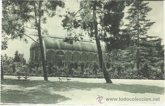Postales: MADRID PARQUE DEL RETIRO SIN ESCRIBIR - Foto 1