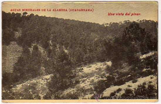 Postales: Aguas minerales de la Alameda. Una vista del pinar. Guadarrama. Gran Balneario y hotel