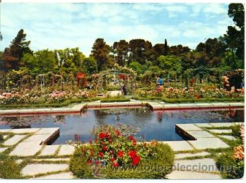 Postales: 7-esp2115. Postal Madrid. Parque del Retiro. Rosaleda - Foto 1