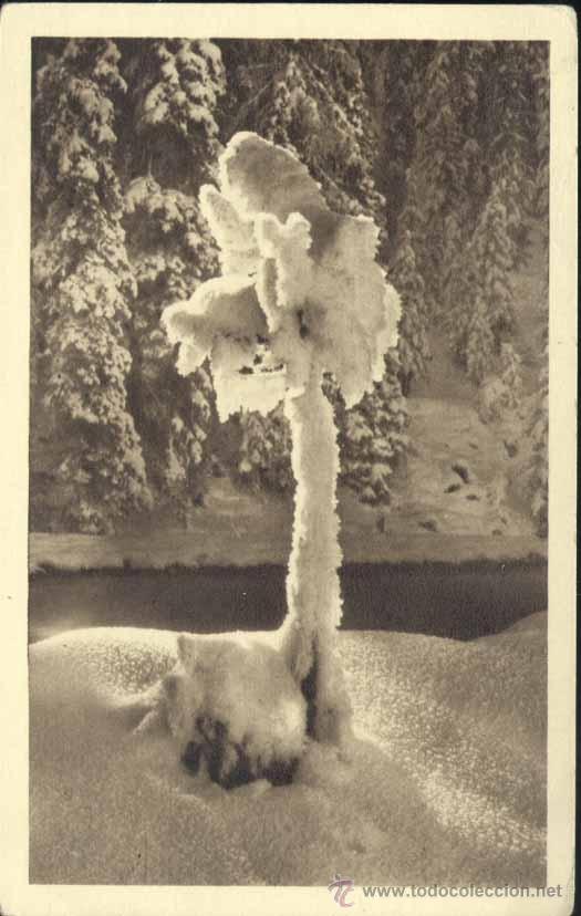 PUERTO DE NAVACERRADA (MADRID).- HOTEL ARIAS