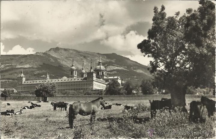 Postales: MADRID MONASTERIO DE EL ESCORIAL ESCRITA - Foto 1